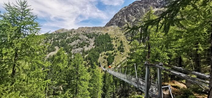 Foto från Grzybek under resans gång