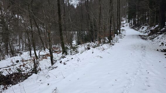 Foto de Berg504 a lo largo del recorrido