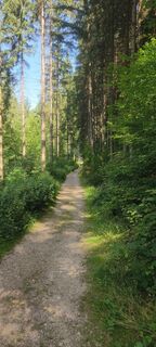 Foto fra Sonja Enzenhofer undervejs på turen