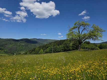 Foto da Noreen (NoKe) lungo il tour