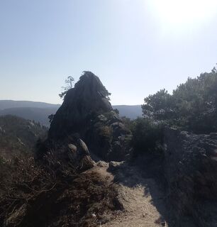 Fotografija s spletne strani Michael Boehm 2 na poti