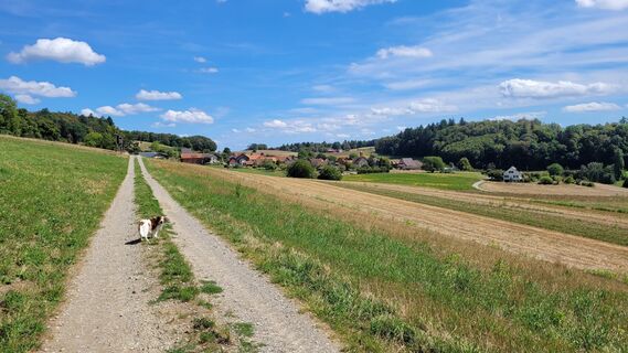 Foto von Max Gisler entlang der Tour