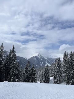 Fotografija s spletne strani P Nykamp na poti