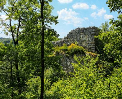 Ruine Radegg.