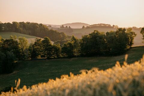 Grüne Landschaft bei Sonnenaufgang