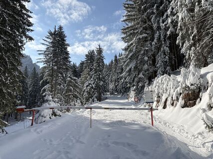 Foto von Heinz Sperl entlang der Tour