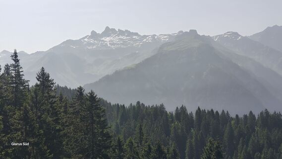 Zdjęcie z Markus Zweifel wzdłuż trasy