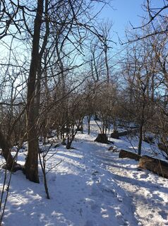 Foto de Georg B. Meier a lo largo del recorrido