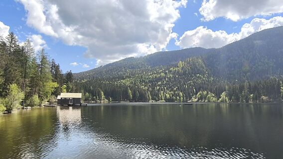 Fotografia z WilliSt na trase