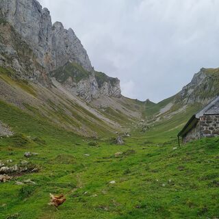 Fotografie z Ostwald na trase
