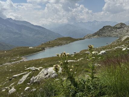 Foto von Peter Vogt entlang der Tour