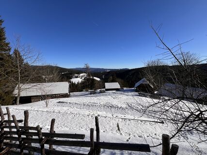 Photo de martina hornik le long du parcours