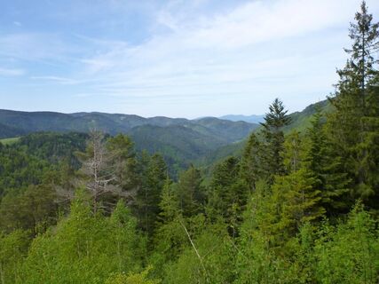Aussicht vom "Großvaterstuhl" über das Gutachtal