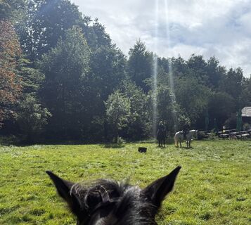 Photo de Manfred Mayer le long du parcours