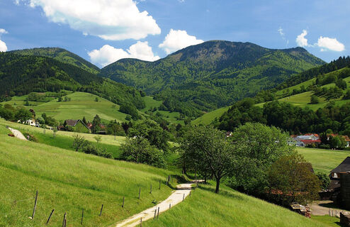 Belchenblick vom Talweg zurück
