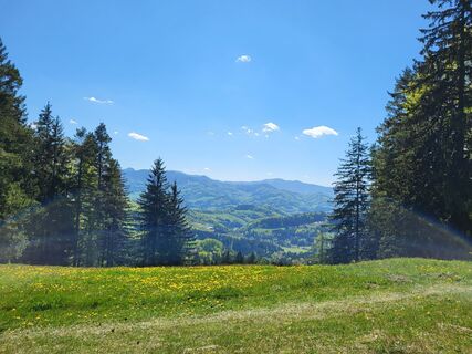 Foto de BergfexxMaxx a lo largo del recorrido