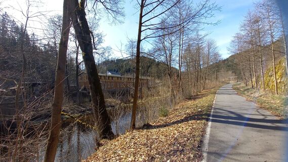 Photo de Sami 90 le long du parcours