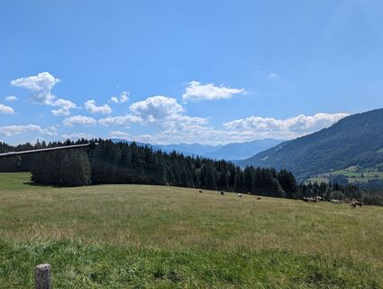 Foto von Poe Michi entlang der Tour