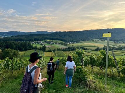 Wandern am Wildbachberg