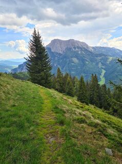 Photo de uhu321 le long du parcours