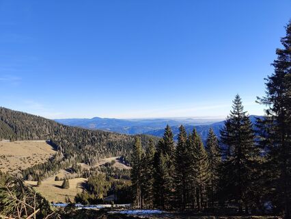 Fotografija s spletne strani Lena Eder na poti