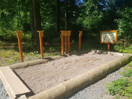 Naturerlebnis Wald Meerhof - Weitsprung