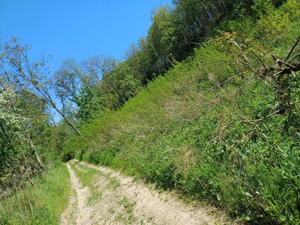 Zdjęcie z Dominik Séllei wzdłuż trasy