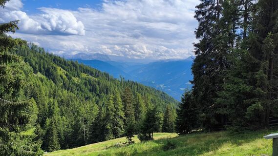Foto von walrei entlang der Tour