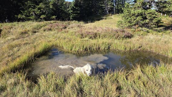 Foto von V Feurstein entlang der Tour