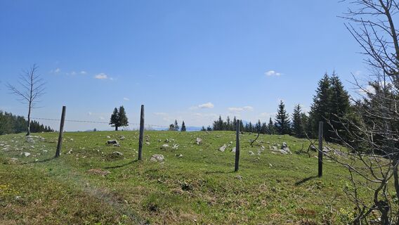 Foto von Peter Prüller entlang der Tour