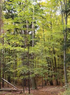 Fotografie de la Schwermetal de-a lungul turului