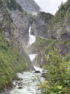 Foto von Grizzli entlang der Tour