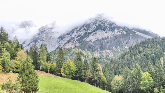 Fotografija s spletne strani Helmut Eibl na poti