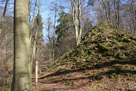 Eingang Firnsbachtal