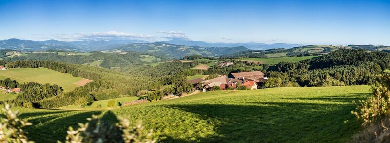 Ausblick von der Ebenhofer Höhe in Edlitz über die Hügellandschaft bis zum Schneeberg