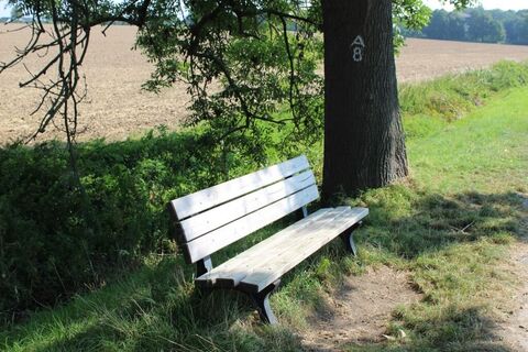 Pausenbank an der Subbieke