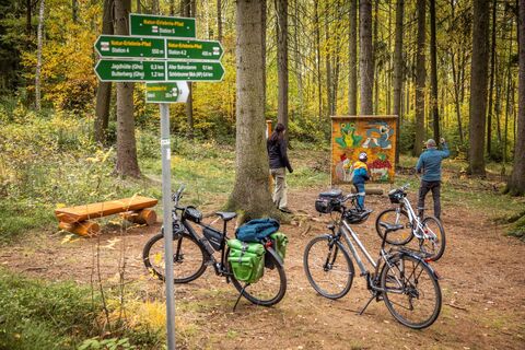 Natur-Erlebnis-Pfad am Butterberg