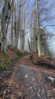 Foto von peter_oe entlang der Tour