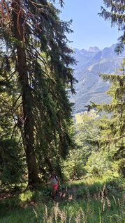 Zdjęcie z RobuC wzdłuż trasy