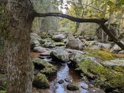 Foto fra Claudia Thime undervejs på turen
