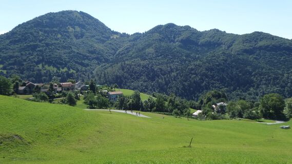 Avsa