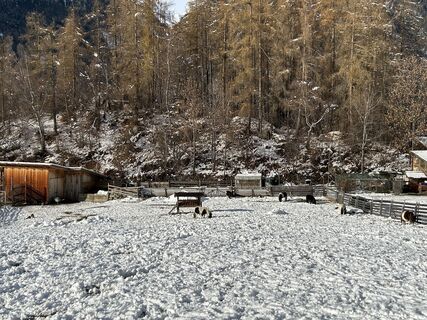 Foto da Bene Schadel lungo il tour