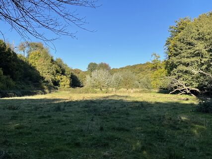 Fotografia z Thorsten Schulze na trase