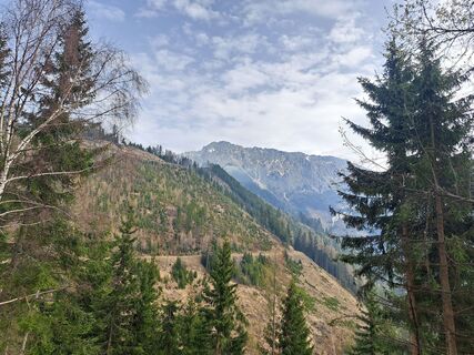 Fotografia z karin magnes na trase