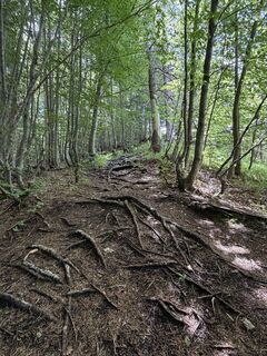 Zdjęcie z Mel A Mont wzdłuż trasy