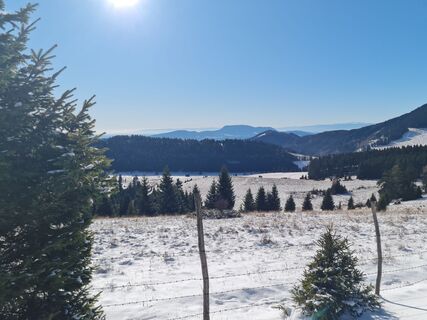 Foto von Tamara Schwarz 2 entlang der Tour