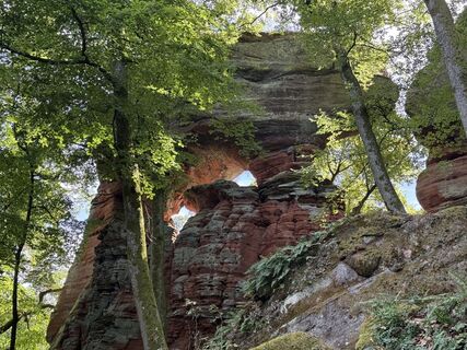 Photo de Andreas Hanek le long du parcours