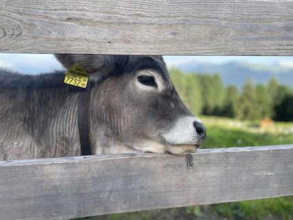 Foto von Johannes Schida entlang der Tour