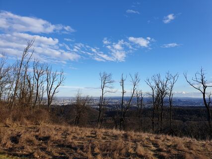 Foto de Georg B. Meier a lo largo del recorrido