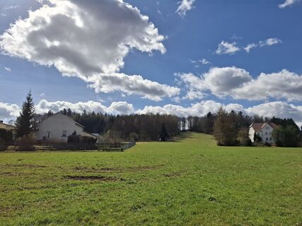 Foto von nordbergschnecke entlang der Tour